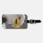 Haliaeetus leucocephalus bagagelabel (Voorkant horizontaal)