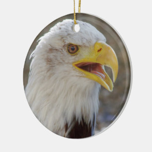 Haliaeetus leucocephalus keramisch ornament
