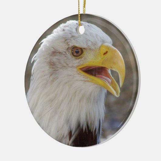 Haliaeetus leucocephalus keramisch ornament (Links)