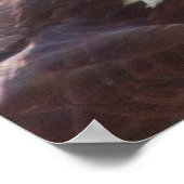 Haliaeetus leucocephalus poster (Hoek)