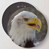 Haliaeetus leucocephalus ronde button 6,0 cm (Voorkant /achterkant)