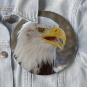 Haliaeetus leucocephalus ronde button 6,0 cm (In situ)