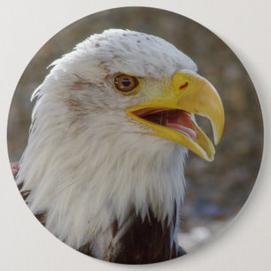 Haliaeetus leucocephalus ronde button 6,0 cm