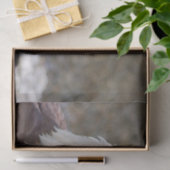 Haliaeetus leucocephalus tissuepapier (Geschenk)