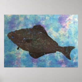 Halibut - 28 x 20-inch Poster