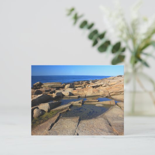 Halibut Point Tide Pool Rockport Cape Ann Briefkaart (Staand voorkant)