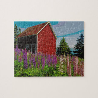 halifax lupine , nova scotia legpuzzel