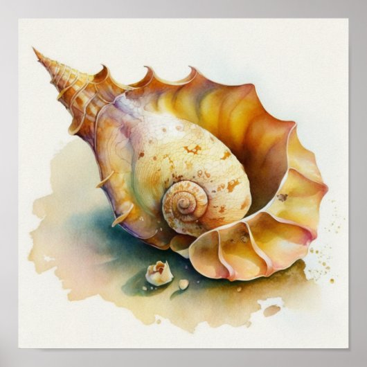 Haliotis conch shell in waterverf poster (Voorkant)