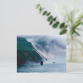 Hall Island, Bering Zee, 1997 Briefkaart (Staand voorkant)