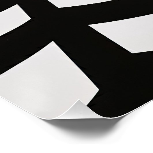 Hall of Illusion Perfect Poster (Hoek)