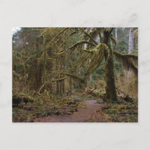 Hall of Mosses Briefkaart