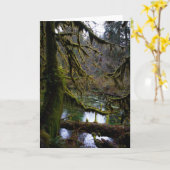 Hall of Mosses Kaart (Gele Bloem)