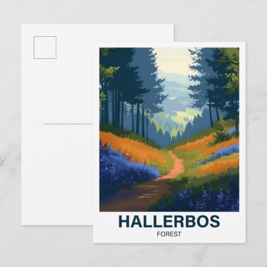 Hallerbos Halle Brabant Vlaanderen België Briefkaart (Voorkant / Achterkant)