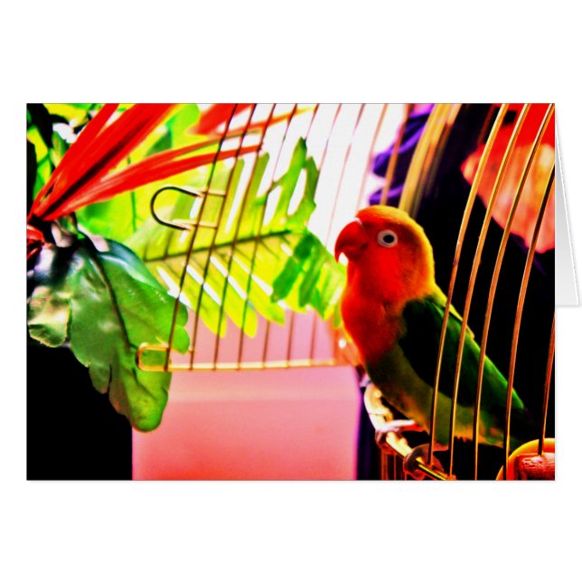 hallo! (Voorkant Horizontaal)