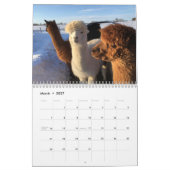 hallo 2025 Alpaca Kalender by (Mar 2027)