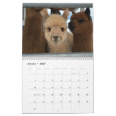 hallo 2025 Alpaca Kalender by (Jan 2027)