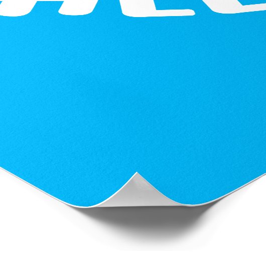 HALLO 2 POSTER (Hoek)