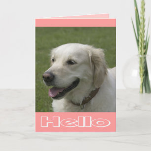 Hallo, Aan Je Denkende Gouden Retriever Puppy Kaar Kaart