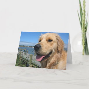 Hallo, Aan Je Denkende Gouden Retriever Puppy Kaar Kaart