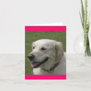 Hallo, Aan Je Denkende Gouden Retriever Puppy Kaar Kaart