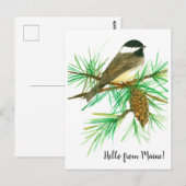 Hallo Activiteiten in de omgeving van Maine Black  Briefkaart (Voorkant / Achterkant)