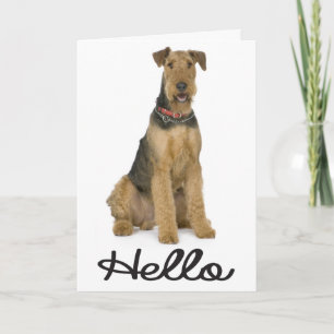 Hallo Airedale Puppy Dog Kaart - Vers