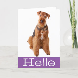 Hallo Airedale Puppy Dog Paars Card - Verse Kaart