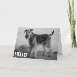 Hallo Airedale Puppy Hond Kaart - Vers