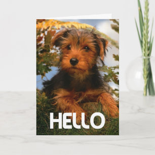 Hallo Airedale Puppy Hond Kaart - Vers