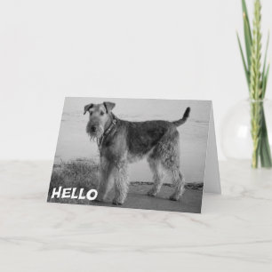 Hallo Airedale Puppy Hond Kaart - Vers