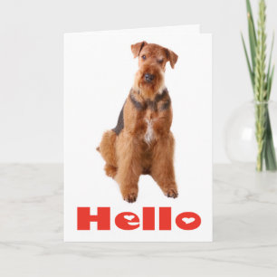 Hallo Airedale Puppy Hond Vriendschapskaart - Vers Kaart
