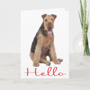 Hallo Airedale Puppy Hond Wenskaart - Vers Kaart