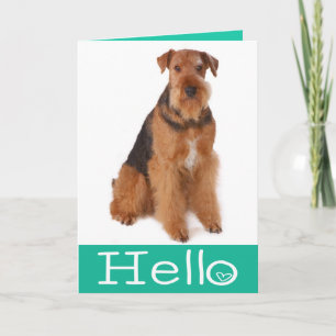 Hallo Airedale Terrier Puppy Hond Kaart - Vers