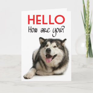 Hallo Alaskan Malamute Puppie Hond Verjaardagskaar Kaart
