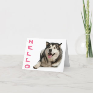 hallo Alaskan Malamute Puppy Dog Note Card Kaart