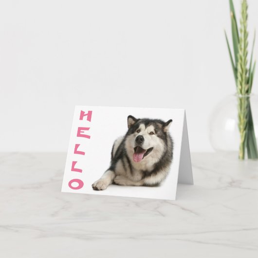 hallo Alaskan Malamute Puppy Dog Note Card Kaart (Voorkant)