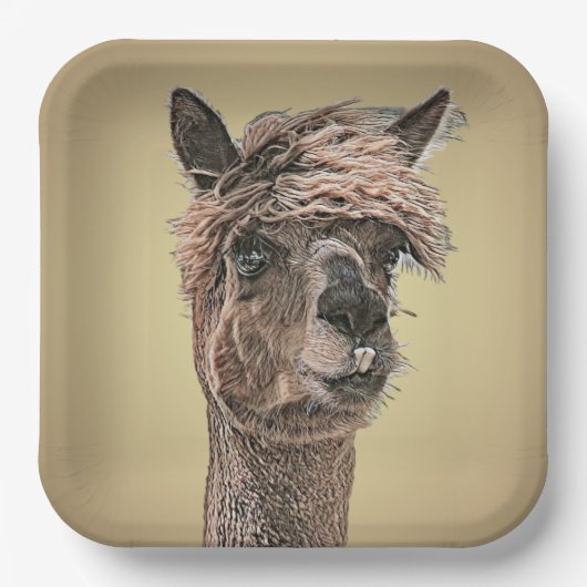 Hallo Alpaca? - Papieren Bord (Voorkant)