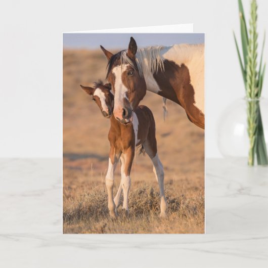 hallo "Baby" Opmerking Kaart (Voorkant)