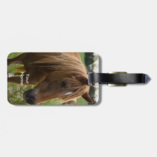 Hallo Bagagelabel (Achterkant horizontaal)