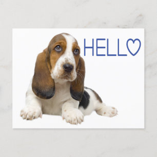 hallo Basset Hound Puppy Dog Blue Thinking of You Briefkaart