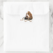 Hallo Basset Hound Puppy Dog Sticker / Label (Tas)