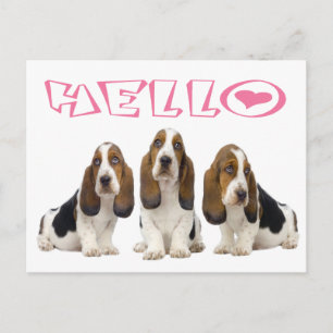 Hallo Basset Hound Puppy Hond Roze Hart Briefkaart