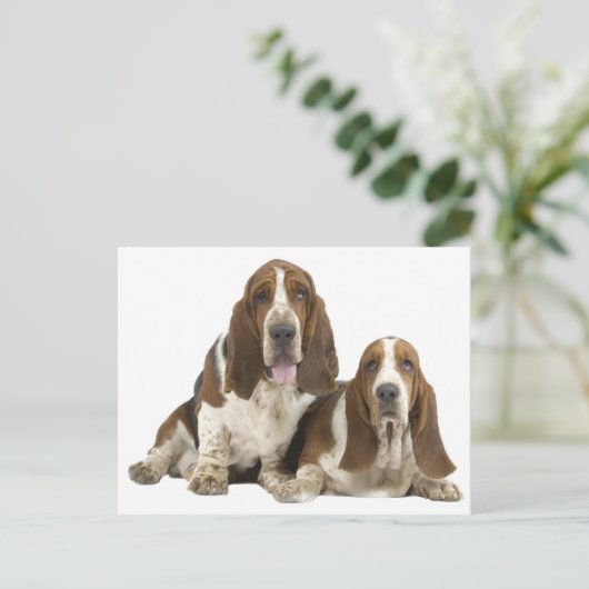 Hallo Basset Hound Puppy Hondenliefde, Briefkaart (Staand voorkant)