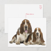 Hallo Basset Hound Puppy Hondenliefde, Briefkaart (Voorkant / Achterkant)