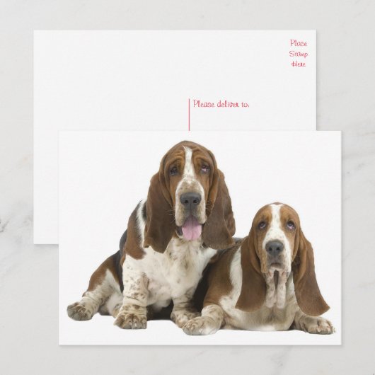 Hallo Basset Hound Puppy Hondenliefde, Briefkaart (Voorkant / Achterkant)