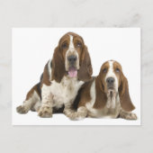 Hallo Basset Hound Puppy Hondenliefde, Briefkaart (Voorkant)