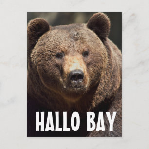 HALLO BAY GRIZZLY BEAR ANSICHTKAARTEN BRIEFKAART