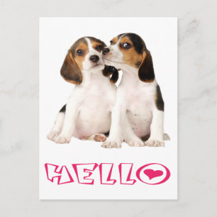 Hallo Beagle Puppie Hond Groet Ansichtkaart Briefkaart