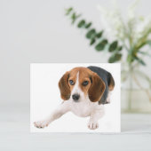 Hallo Beagle Puppy Dog Blank Briefkaart (Staand voorkant)