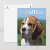 Hallo Beagle Puppy Dog Greeting Post Kaart (Voorkant / Achterkant)
